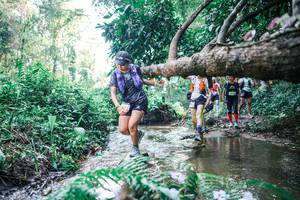 BIB: 
                            <button type="button" onclick="openModal(25445553)" class="btn btn-primary btn-sm float-right btn-popup" data-toggle="modal" data-target=".modal-high-quality">
                        <i class="fas fa-shopping-cart"></i> Add to Cart
                    </button>
                                            <button type="button" onclick="isThisMe(25445553, true)" class="btn btn-success btn-sm float-right btn-popup btn-isme hidden" data-toggle="tooltip" data-placement="bottom" title="นี่คือรูปของคุณใช่ไหม คลิกที่นี่เพื่อเอาเข้าอัลบั้ม">
                        <i class="fas fa-plus"></i> Add to album
                    </button>
                    <button type="button" onclick="isThisMe(25445553, false)" class="btn btn-warning btn-sm float-right btn-popup btn-isnotme hidden">
                        <i class="fas fa-ban"></i> Remove from album
                    </button>